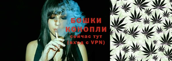 крисы Верхний Тагил
