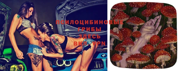 гидропоника Иннополис
