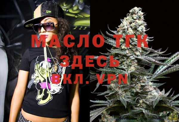 крисы Верхний Тагил