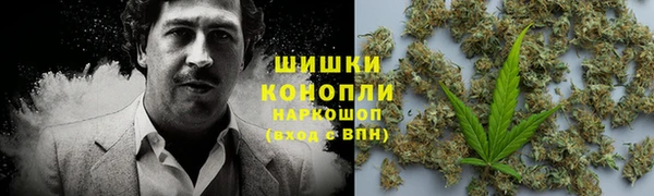 крисы Верхний Тагил
