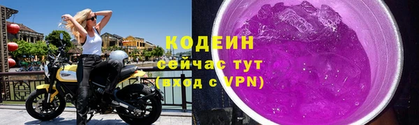 крисы Верхний Тагил